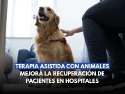 Mascotas ganan terreno en terapias dentro de hospitales