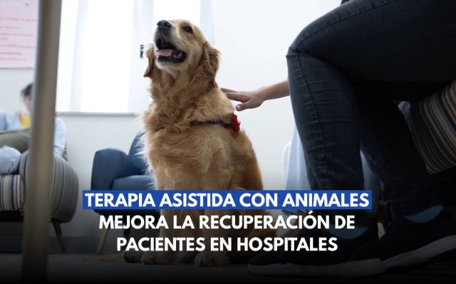 Mascotas ganan terreno en terapias dentro de hospitales