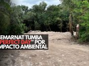 ¡Victoria ecológica! Semarnat bloquea proyecto turístico en Mahahual