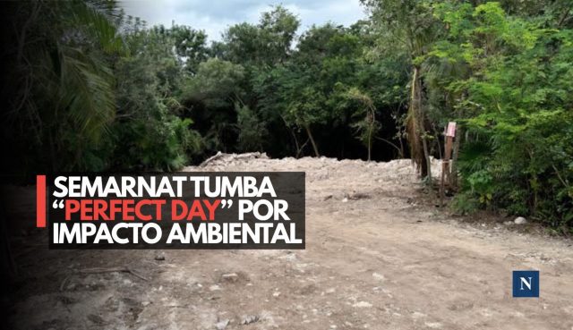 ¡Victoria ecológica! Semarnat bloquea proyecto turístico en Mahahual
