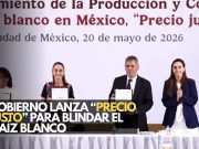 México apuesta por el maíz blanco con esquema “Precio Justo”