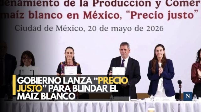 México apuesta por el maíz blanco con esquema “Precio Justo”
