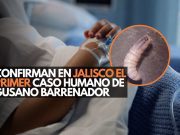 Alerta epidemiológica: Confirman en Jalisco el primer caso humano de gusano barrenador