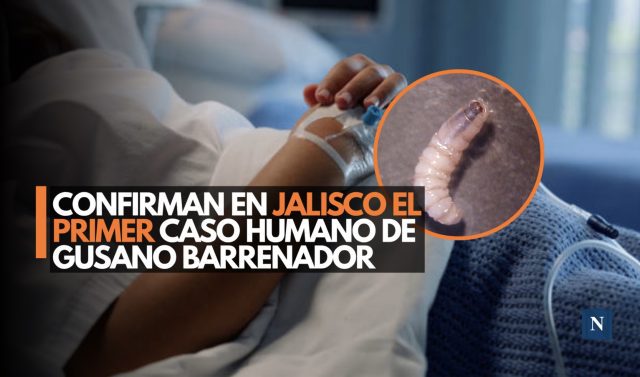 Alerta epidemiológica: Confirman en Jalisco el primer caso humano de gusano barrenador