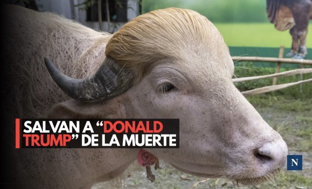 Salvan a “Donald Trump” de la muerte