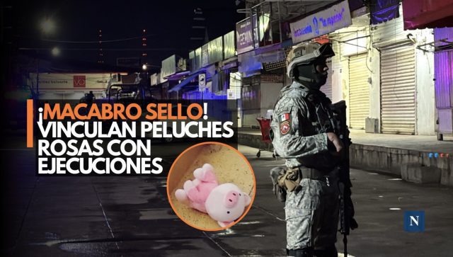 ¿Asesino serial? Cerditos de peluche marcan escenas de crimen