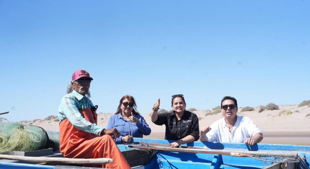 Medusa bola de cañón consolida a Sonora como potencia pesquera y generadora de empleo