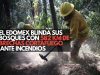 El Edoméx blinda sus bosques con 582 km de brechas cortafuego ante incendios