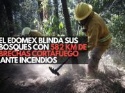 El Edoméx blinda sus bosques con 582 km de brechas cortafuego ante incendios