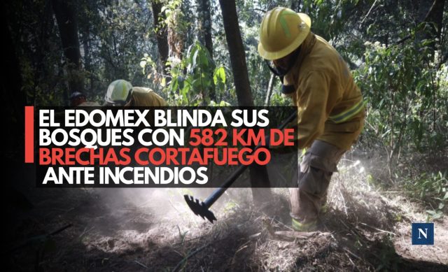 El Edoméx blinda sus bosques con 582 km de brechas cortafuego ante incendios
