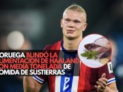 Noruega blindó la alimentación de Haaland con media tonelada de comida de sus tierras