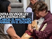 Entra en vigor ley que castiga con cárcel el maltrato animal en el Edomex