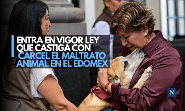 Entra en vigor ley que castiga con cárcel el maltrato animal en el Edomex