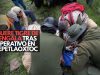 ¡Lamentable! Muere tigre de bengala tras operativo en Tepetlaoxtoc