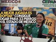 “La Mejor Jugada es Adoptar” consigue hogar para 23 perros en el Estado de México