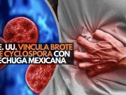 EE. UU. vincula brote de Cyclospora con lechuga mexicana