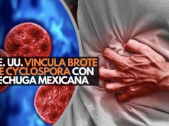 EE. UU. vincula brote de Cyclospora con lechuga mexicana