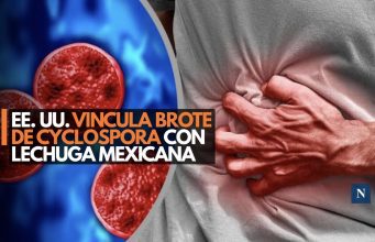 EE. UU. vincula brote de Cyclospora con lechuga mexicana