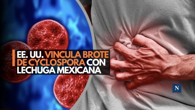EE. UU. vincula brote de Cyclospora con lechuga mexicana