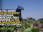 La FDA admite “falso positivo” en lechuga mexicana, pero mantiene activa la investigación por Cyclospora
