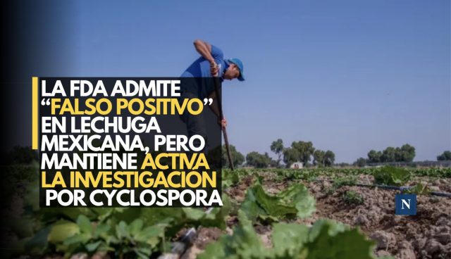 La FDA admite “falso positivo” en lechuga mexicana, pero mantiene activa la investigación por Cyclospora