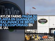 Taylor Farms pausa su planta en Guanajuato tras avance de brote de ciclosporiasis en EE. UU.