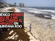 Gobierno destina 2 mil mdp para frenar el sargazo en Quintana Roo