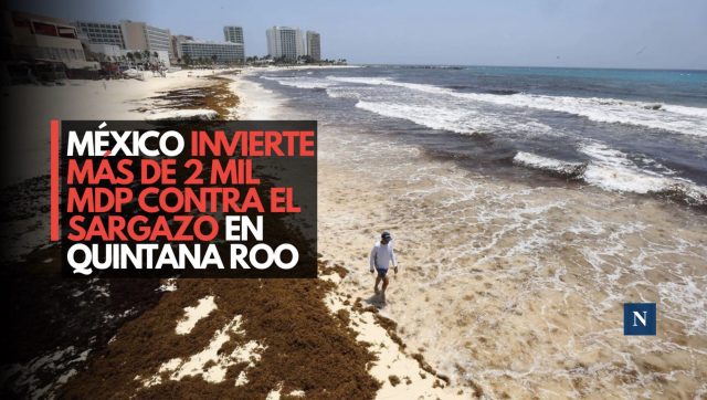 Gobierno destina 2 mil mdp para frenar el sargazo en Quintana Roo