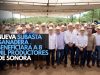 Nueva Subasta Ganadera beneficiará a 8 mil productores de Sonora