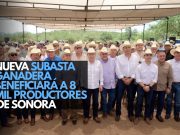 Nueva Subasta Ganadera beneficiará a 8 mil productores de Sonora