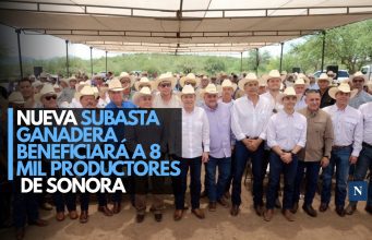 Nueva Subasta Ganadera beneficiará a 8 mil productores de Sonora