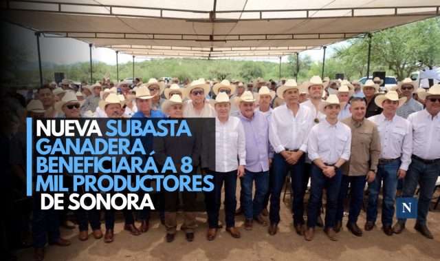 Nueva Subasta Ganadera beneficiará a 8 mil productores de Sonora