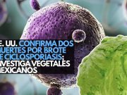 EEUU confirma dos muertes por brote de ciclosporiasis; investiga vegetales mexicanos