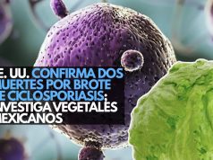 EEUU confirma dos muertes por brote de ciclosporiasis; investiga vegetales mexicanos