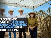 Crecimiento estatal: Sonora lidera crecimiento del campo en el norte del país