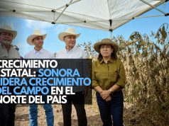 Crecimiento estatal: Sonora lidera crecimiento del campo en el norte del país