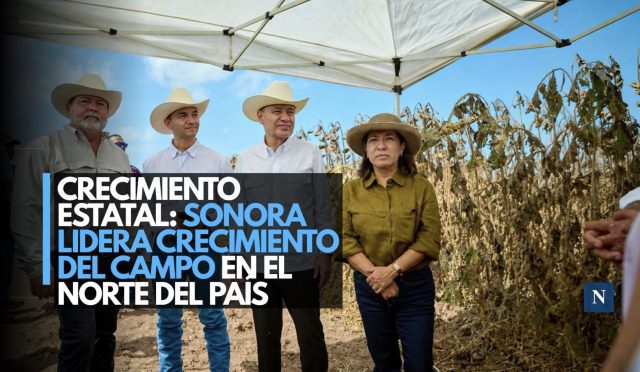 Crecimiento estatal: Sonora lidera crecimiento del campo en el norte del país