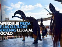 ¡Celebra la diversidad! Arranca la Fiesta de las Culturas Indígenas