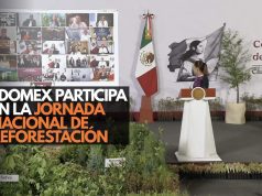 Edomex participa en la Jornada Nacional de Reforestación