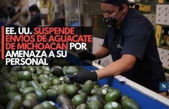 EE. UU. suspende envíos de aguacate de Michoacán por amenaza a su personal