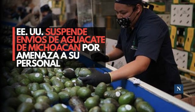 EE. UU. suspende envíos de aguacate de Michoacán por amenaza a su personal