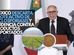 México descarta brote activo de ciclosporiasis y evidencia contra productos exportados