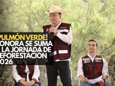 ¡Sonora más verde! Durazo participa en la Jornada Nacional de Reforestación 2026