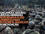Guacamole seguro: Fuerzas Armadas despliegan a 9,500 elementos para proteger el aguacate en Michoacán