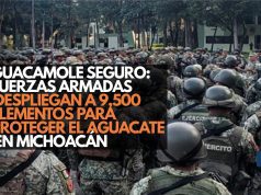Guacamole seguro: Fuerzas Armadas despliegan a 9,500 elementos para proteger el aguacate en Michoacán