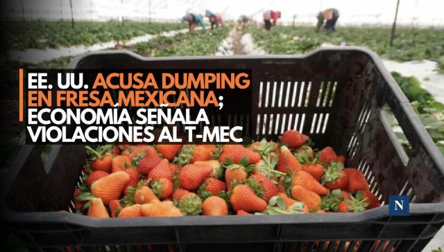 EE. UU. acusa dumping en fresa mexicana; Economía señala violaciones al T-MEC