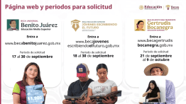 Sonora beca