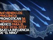 Ahí vienen los pingüinos: Pronostican 56 frentes fríos en México para el ciclo 2026-2027 bajo la influencia de “El Niño”
