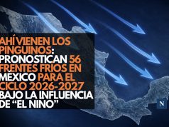 Ahí vienen los pingüinos: Pronostican 56 frentes fríos en México para el ciclo 2026-2027 bajo la influencia de “El Niño”