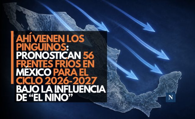 Ahí vienen los pingüinos: Pronostican 56 frentes fríos en México para el ciclo 2026-2027 bajo la influencia de “El Niño”